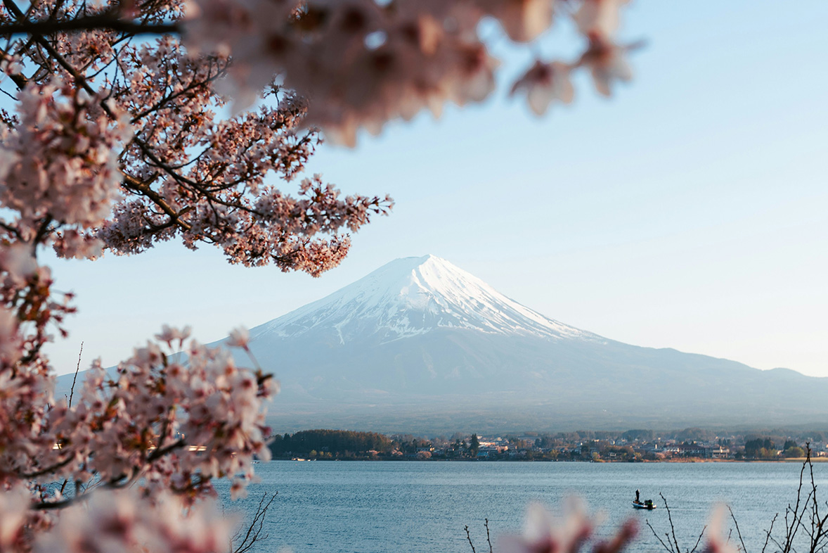 Japonya’da Sakura Sezonu: Zamanın Geçiciliğiyle Kurulan Ritüel