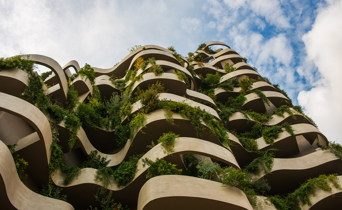 Biomimicry (Biyomimikri): Doğadan İlham Alan Sürdürülebilir Çözümler Mümkün mü?