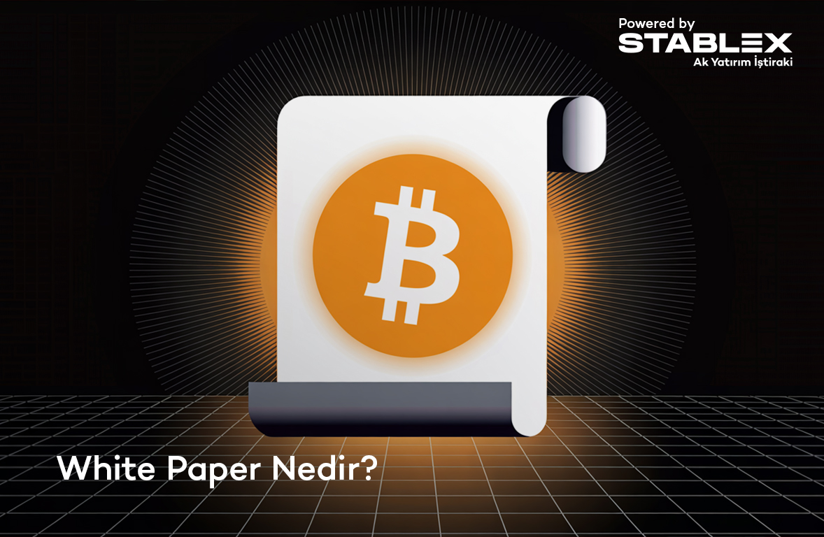 White Paper Nedir?