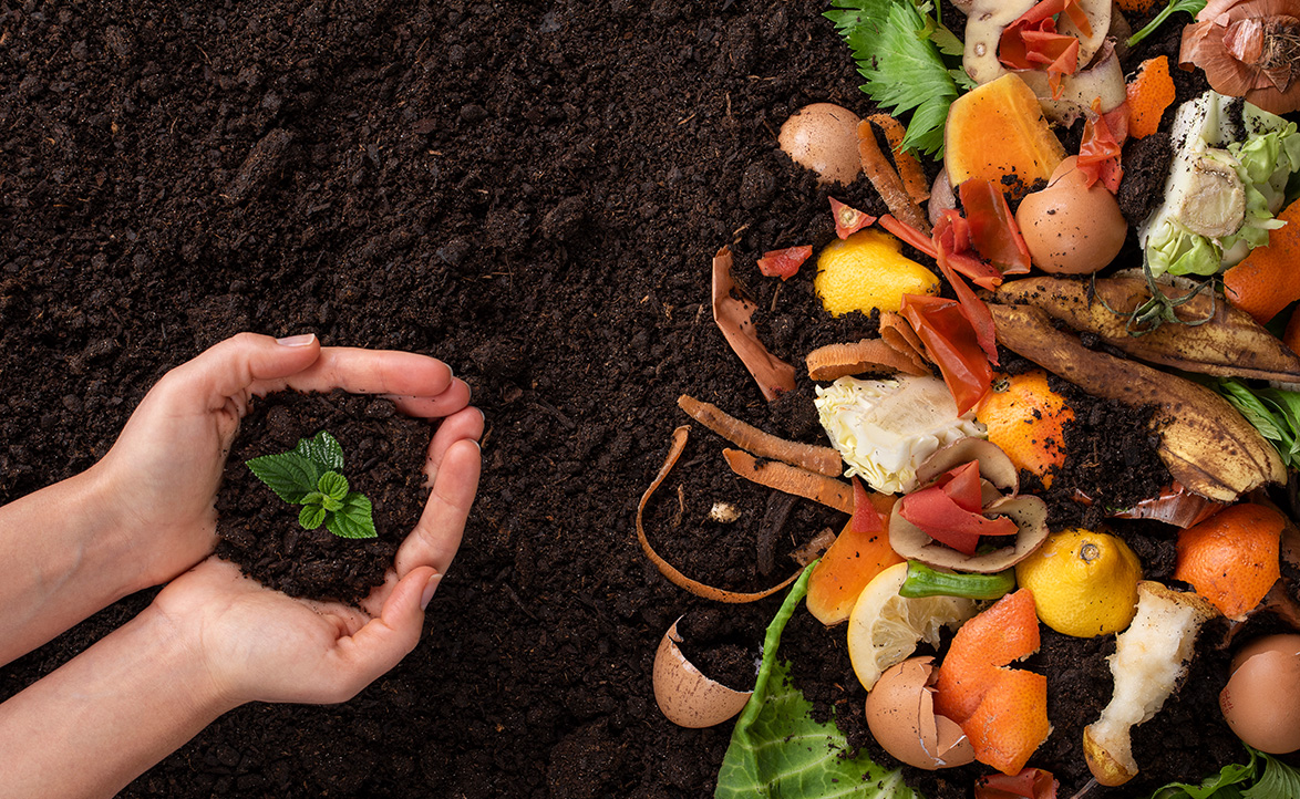 Gıda Endüstrisinde İleri Dönüşüm Ekonomisi