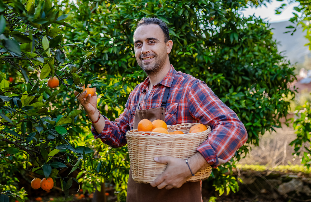 KGF Tarım Kefalet Destek Programı