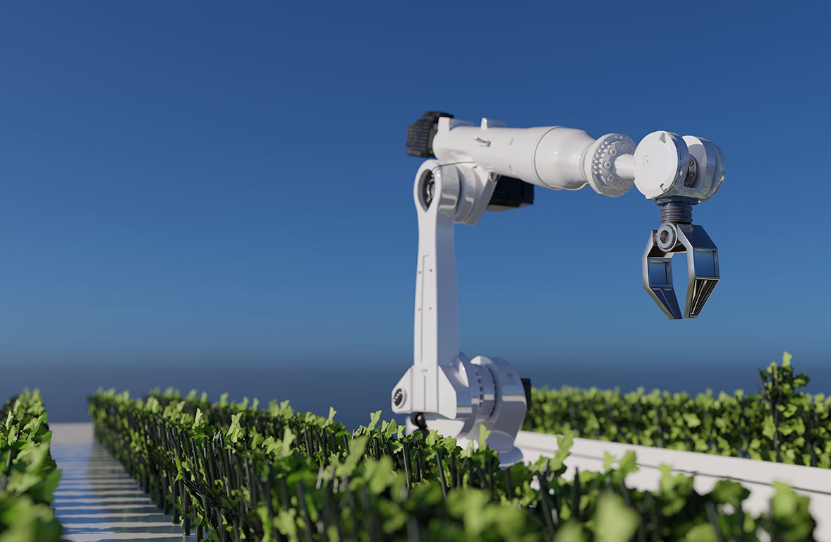 DTZ Ak Portföy Dönüştürücü Teknolojiler Değişken Fon